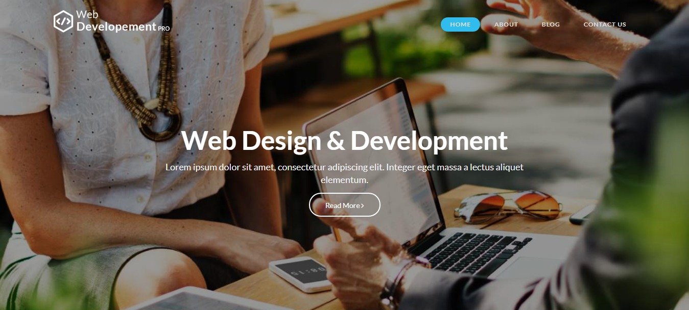 Webdevelopmentwordpresstheme1.png